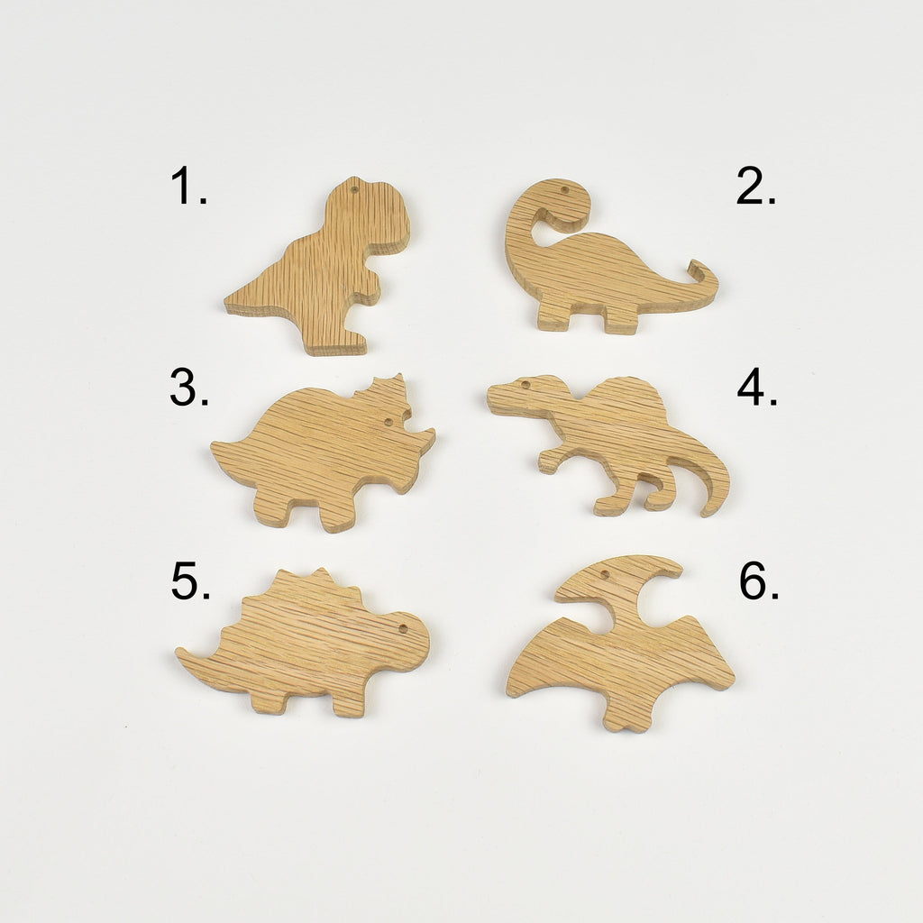 Dinosaur wall hooks - 6 designs numbered reference guide t-rex brachiosaurus triceratops spinosaurus stegosaurus pterodactyl