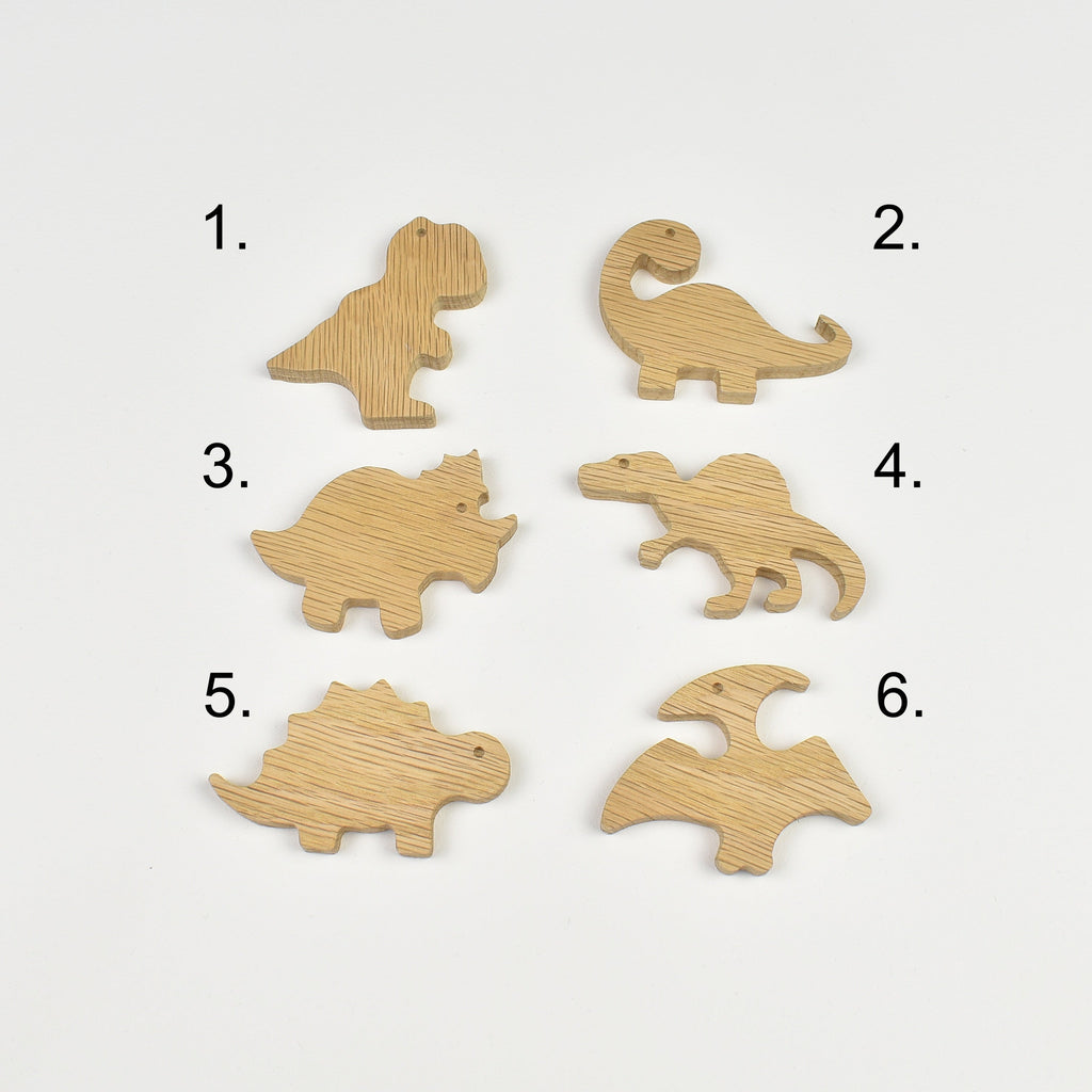 Dinosaur wall hooks - 6 designs numbered reference guide t-rex brachiosaurus triceratops spinosaurus stegosaurus pterodactyl
