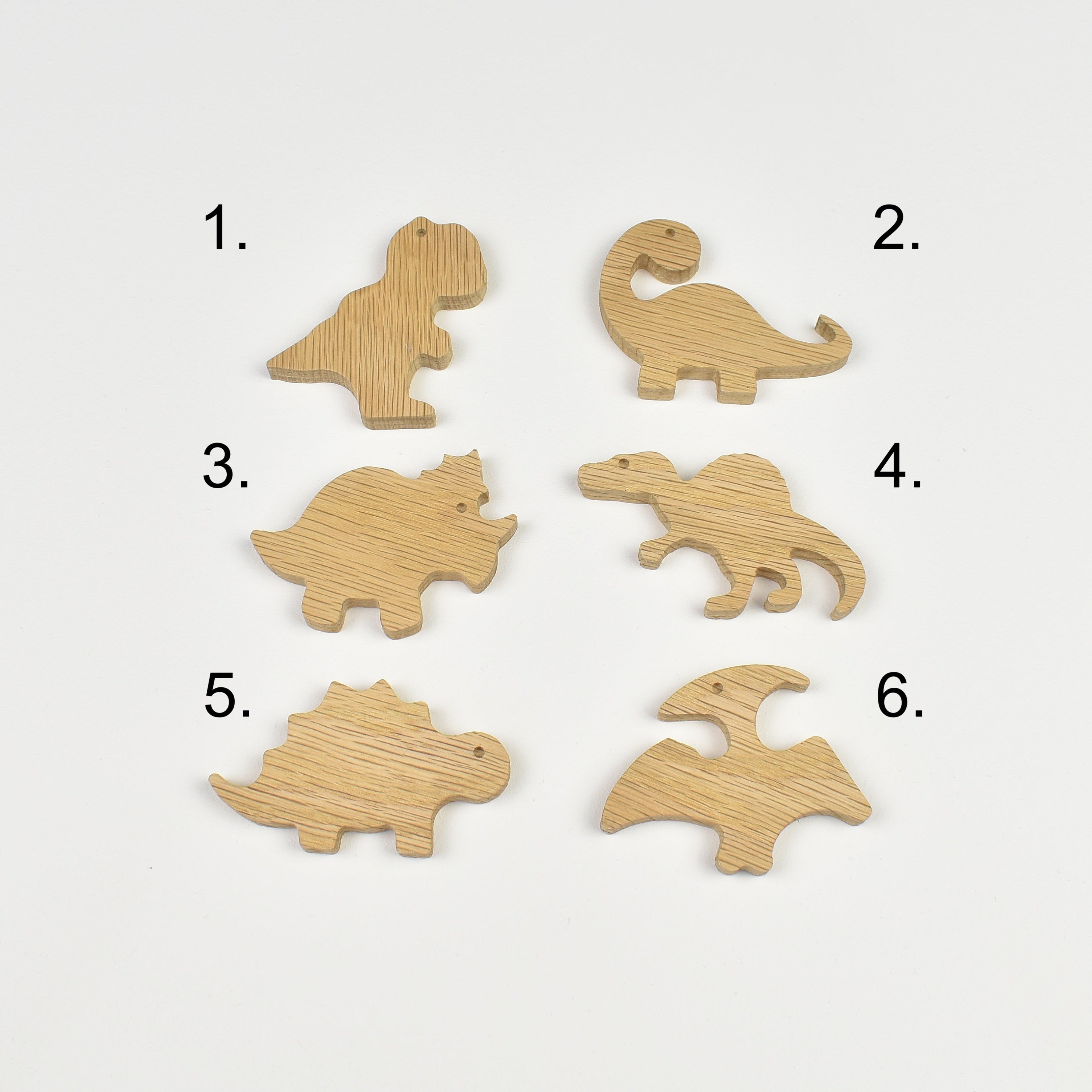 Dinosaur wall hooks - 6 designs numbered reference guide t-rex brachiosaurus triceratops spinosaurus stegosaurus pterodactyl
