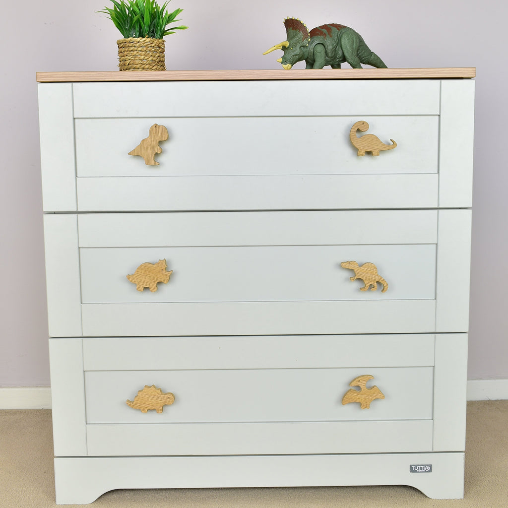 Dinosaur drawer knobs front view - T-rex Brachiosaurus Triceratops Spinosaurus Stegosaurus Pterodactyl