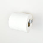 roll of toilet paper on a silver metal toilet roll holder - right view